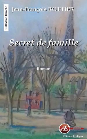 Cover of the book Secret de famille by Jean-François Thiery