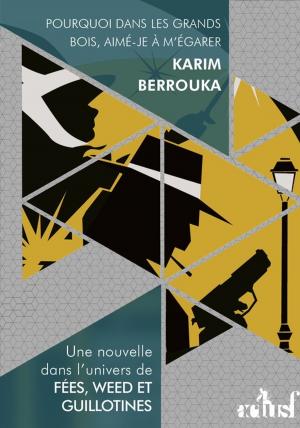 Book cover of Pourquoi dans les grands bois, aimé-je à m'égarer