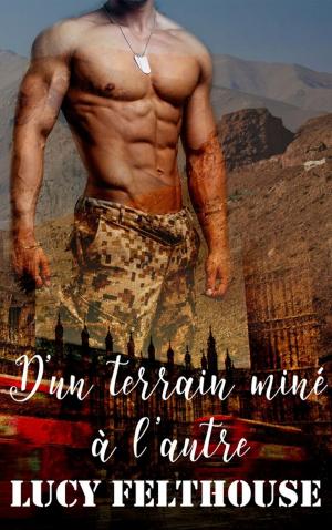 Cover of the book D'un terrain miné à l'autre by Brooke Mckinley