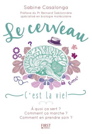 Cover of the book Le Cerveau c'est la vie ! by Dan GOOKIN