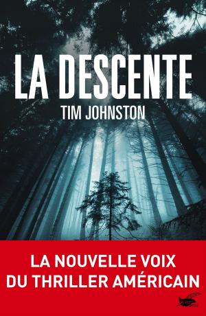 Cover of the book La descente by Serge Brussolo