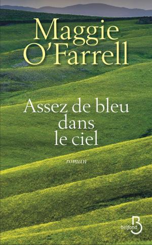 Cover of the book Assez de bleu dans le ciel by Alex CARTIER