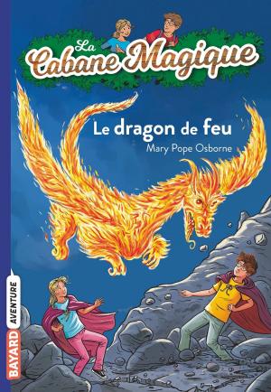 Cover of the book La cabane magique, Tome 50 by Claire Bertholet