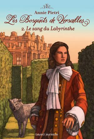 Book cover of Le sang du labyrinthe