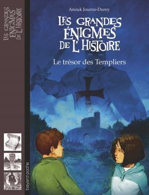 Cover of the book Le trésor des Templiers by Annie Jay