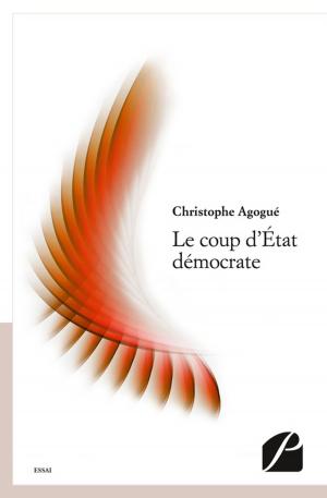 Cover of the book Le coup d'État démocrate by Raymond Augé