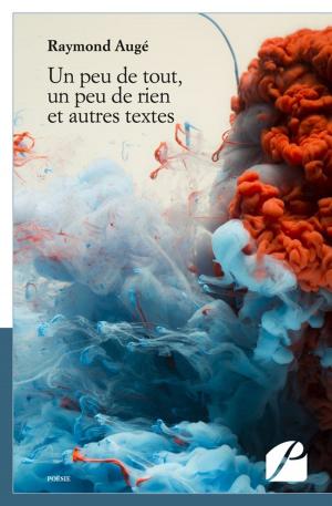 Cover of the book Un peu de tout, un peu de rien et autres textes by Guillaume Vergès