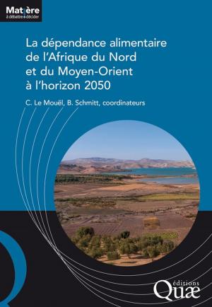 Book cover of La dépendance alimentaire de l'Afrique du Nord et du Moyen-Orient à l'horizon 2050