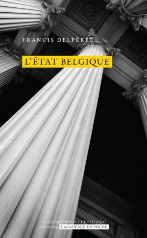 Cover of the book L'État Belgique by François de Smet