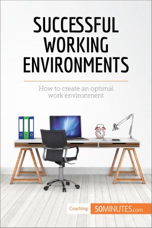 Cover of the book Successful Working Environments by 50MINUTES