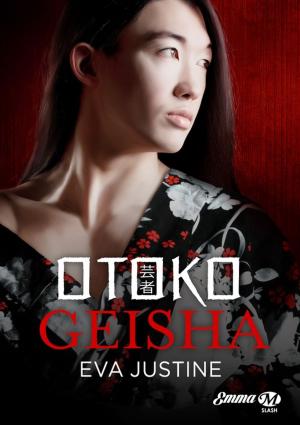 Cover of the book Otoko Geisha by Tracy Bloom
