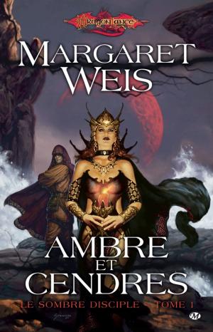 Cover of the book Ambre et cendres by Kristen Britain