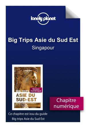 Book cover of Big Trips Asie du Sud-Est - Singapour