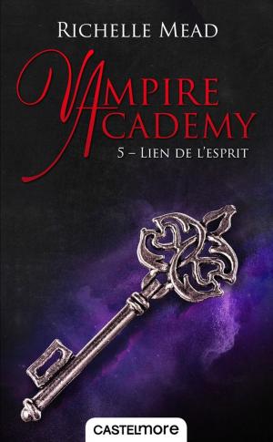 Cover of the book Lien de l'esprit by Lise Syven