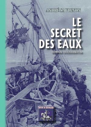 Cover of the book Le Secret des Eaux by Bernard Morasin