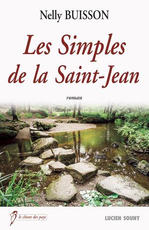 Cover of the book Les Simples de la Saint-Jean by Jean-Paul Romain-Ringuier
