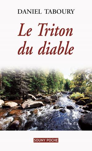 Cover of the book Le Triton du diable by Danielle Boissé