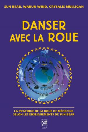 Book cover of Danser avec la roue