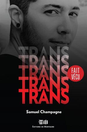 Cover of the book Trans by Stéphanie Duchesne