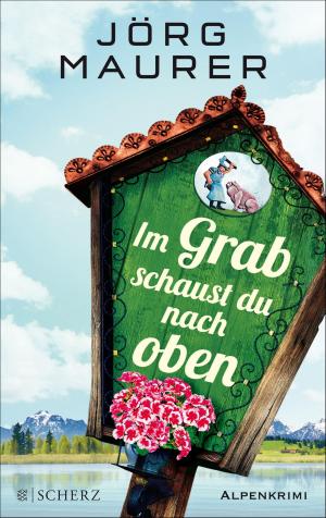 Cover of the book Im Grab schaust du nach oben by Christoph Ransmayr