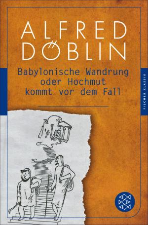 Cover of the book Babylonische Wandrung oder Hochmut kommt vor dem Fall by Franz Kafka