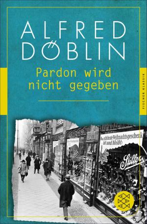 Cover of the book Pardon wird nicht gegeben by Wolfgang Hilbig