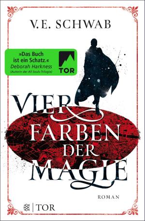 Book cover of Vier Farben der Magie
