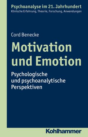 Cover of the book Motivation und Emotion by Anna Brake, Peter Büchner, Jochen Kade, Werner Helsper, Christian Lüders, Frank Olaf Radtke, Werner Thole