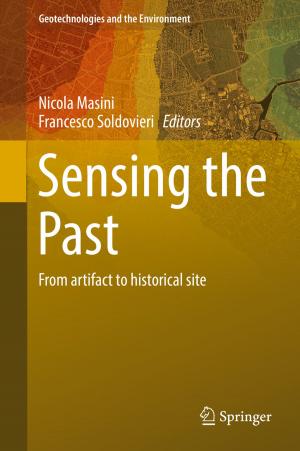 Cover of the book Sensing the Past by Liliane Maria Ferrareso Lona