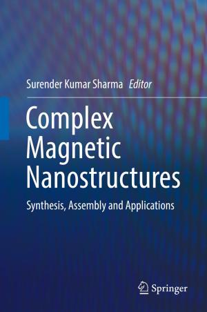 Cover of the book Complex Magnetic Nanostructures by Gengsheng Wang, Lijuan Wang, Yashan Xu, Yubiao Zhang