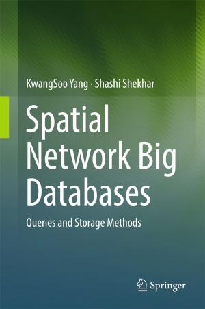 Cover of the book Spatial Network Big Databases by Lina K. Blusch