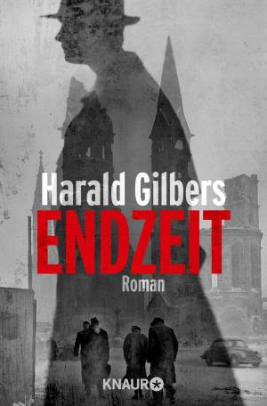 Cover of the book Endzeit by Jutta Maria Herrmann
