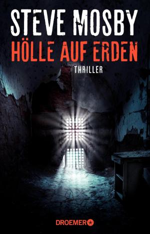 Cover of the book Hölle auf Erden by Steve Mosby