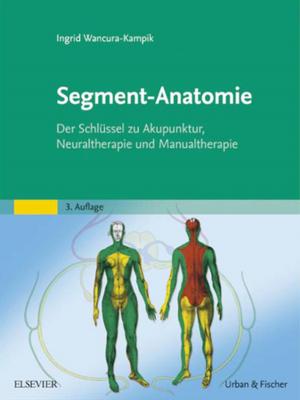 Book cover of Segment-Anatomie