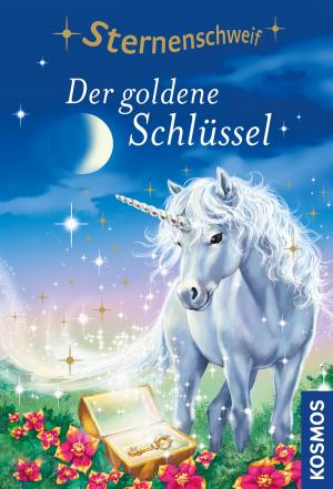 Cover of the book Sternenschweif, 14, Der goldene Schlüssel by Mark Emmerich, Sven Melchert