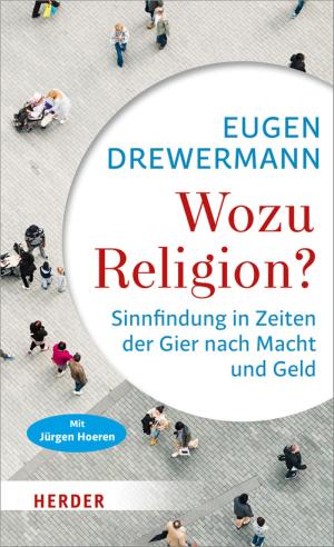 Book cover of Wozu Religion?