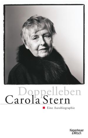 Cover of the book Doppelleben by Kathrin Schmidt