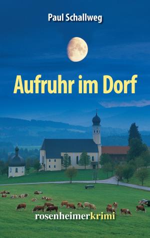 Cover of the book Aufruhr im Dorf by Wolfgang Schierlitz