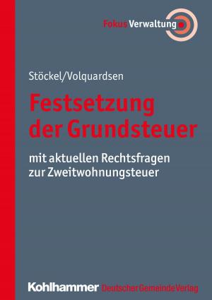 Cover of the book Festsetzung der Grundsteuer by Ulrike Nauheim-Skrobek, Hermann Schmitz, Ralf Schmorleiz