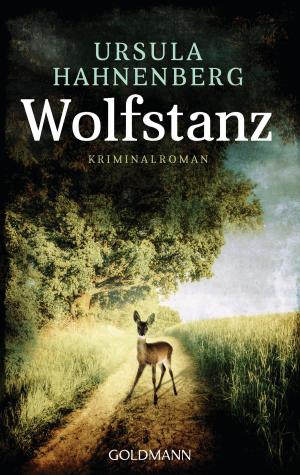 Book cover of Wolfstanz
