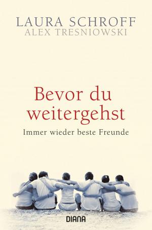 Book cover of Bevor du weitergehst