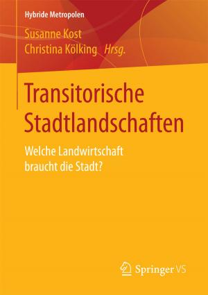 Cover of the book Transitorische Stadtlandschaften by 