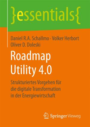 Cover of the book Roadmap Utility 4.0 by Thorsten Zoerner