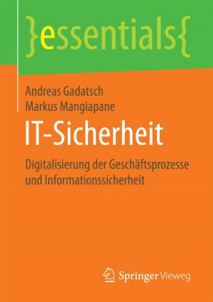 Cover of the book IT-Sicherheit by Wolfgang Gruber, Bernd Heesen