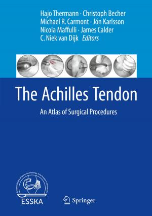 Cover of the book The Achilles Tendon by Grigory L. Litvinov, Paola Loreti, Guy Barles, Hitoshi Ishii, Nicoletta Tchou, Yves Achdou
