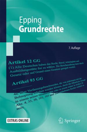Cover of the book Grundrechte by Xiaohua Liu, Yi Jiang, Tao Zhang
