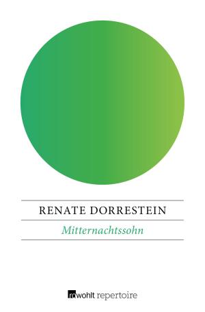 Cover of the book Mitternachtssohn by Renate Welsh