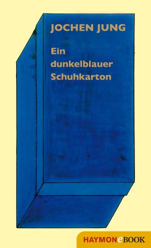 Cover of the book Ein dunkelblauer Schuhkarton by Lukas Morscher