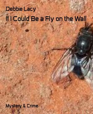Cover of the book If I Could Be a Fly on the Wall by Hans Ludwig