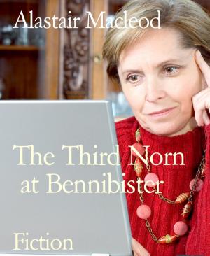 Cover of the book The Third Norn by Priscilla Laster